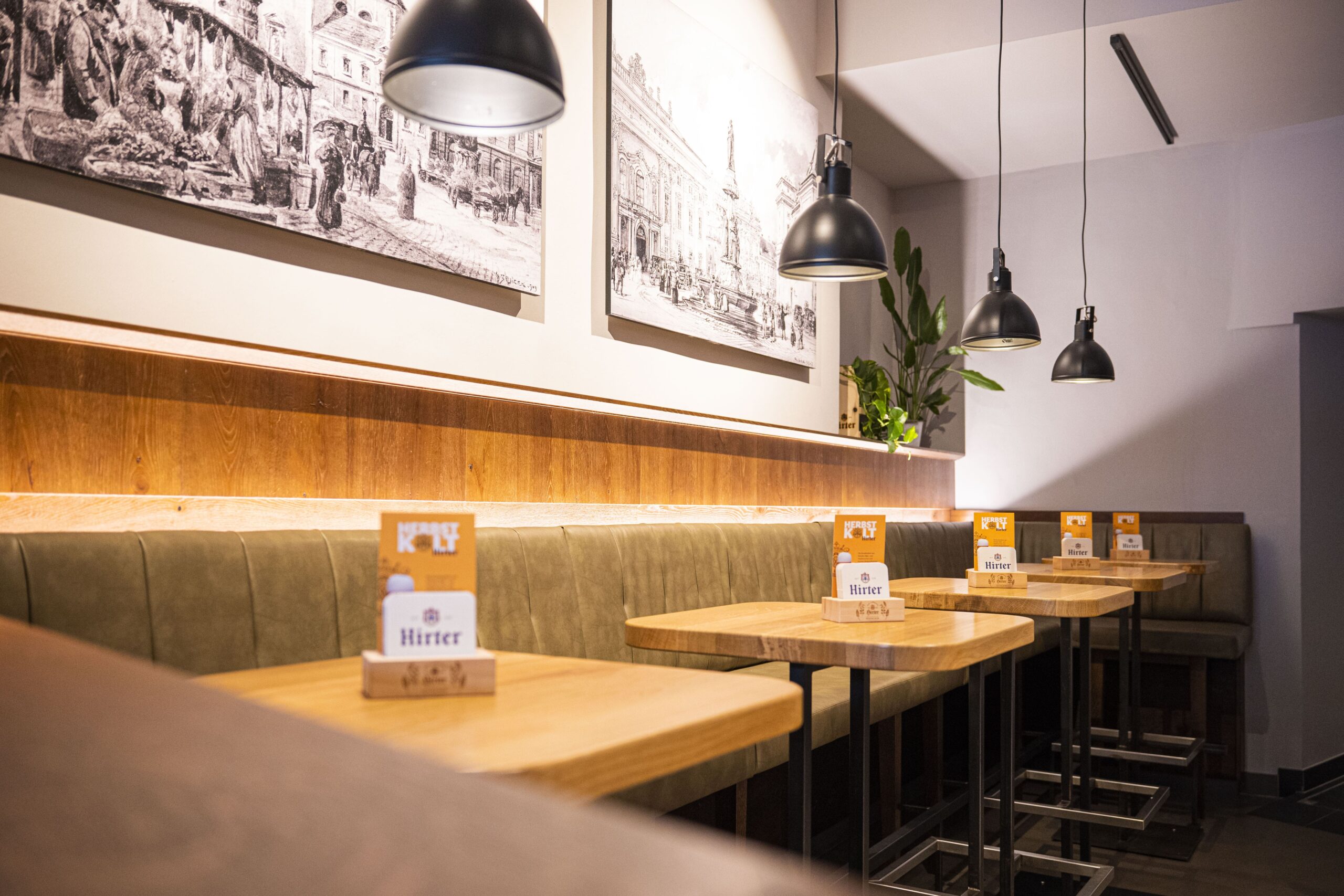 Freybier Sitzmöglichkeiten